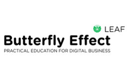 Butterfly Effect meetup: Story of Data Engineer