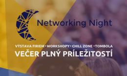 Mini Erasmus: Networking Night 2018